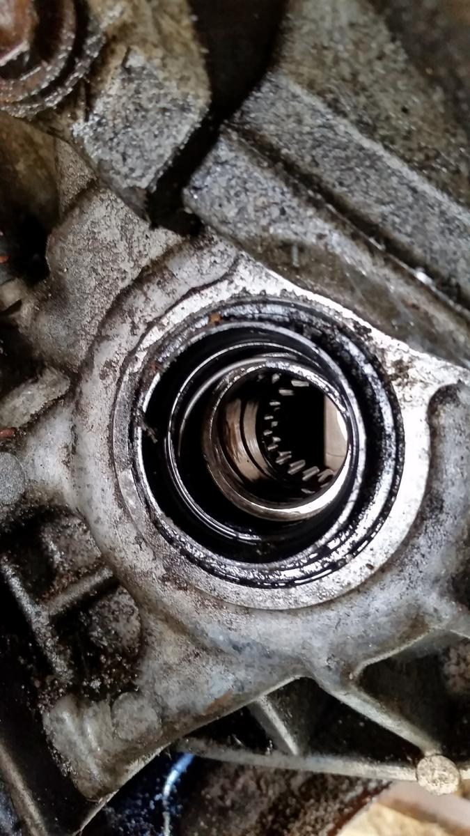 The damaged oil seal.
