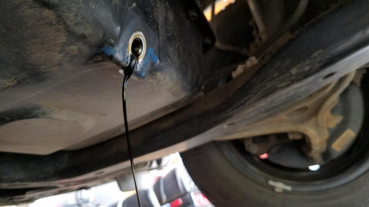 oil draining from a Honda Accord
