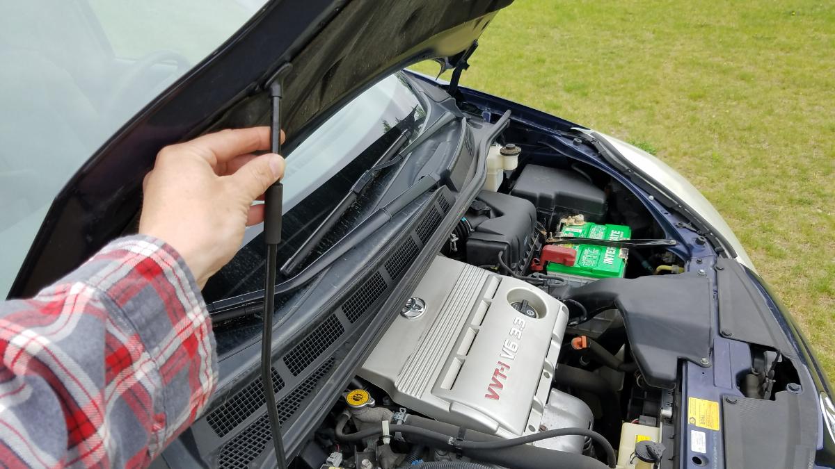 02-Sienna-Prop-the-Hood