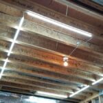 Shop Lights