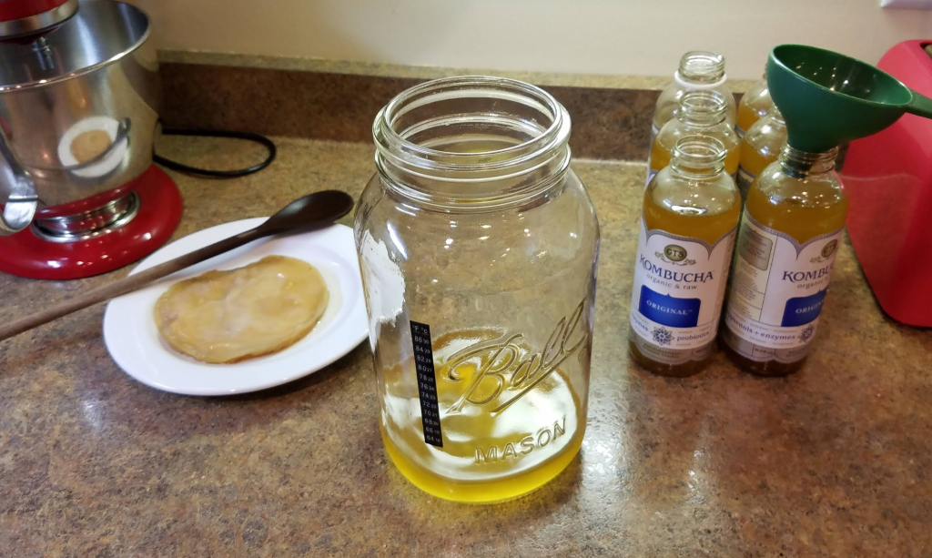 06-kombucha-starter-in-gallon-jar