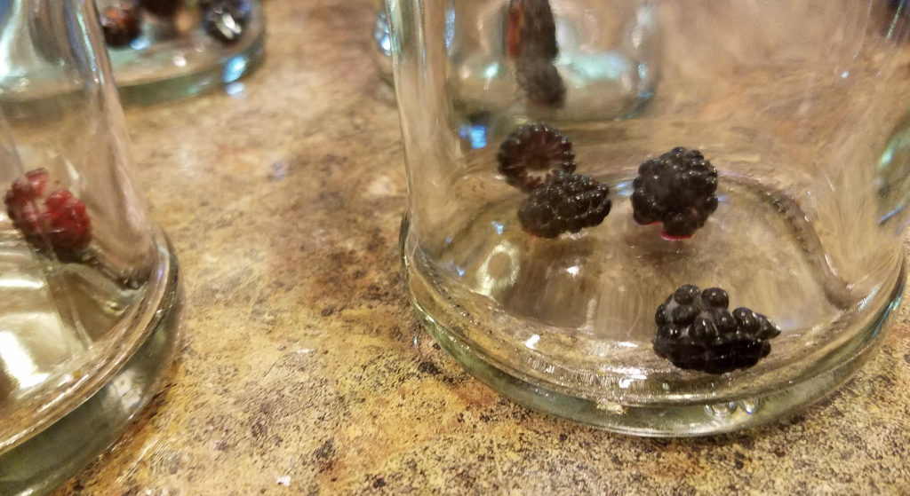 10-kombucha-2nd-ferment-add-fruit-juice-sugar