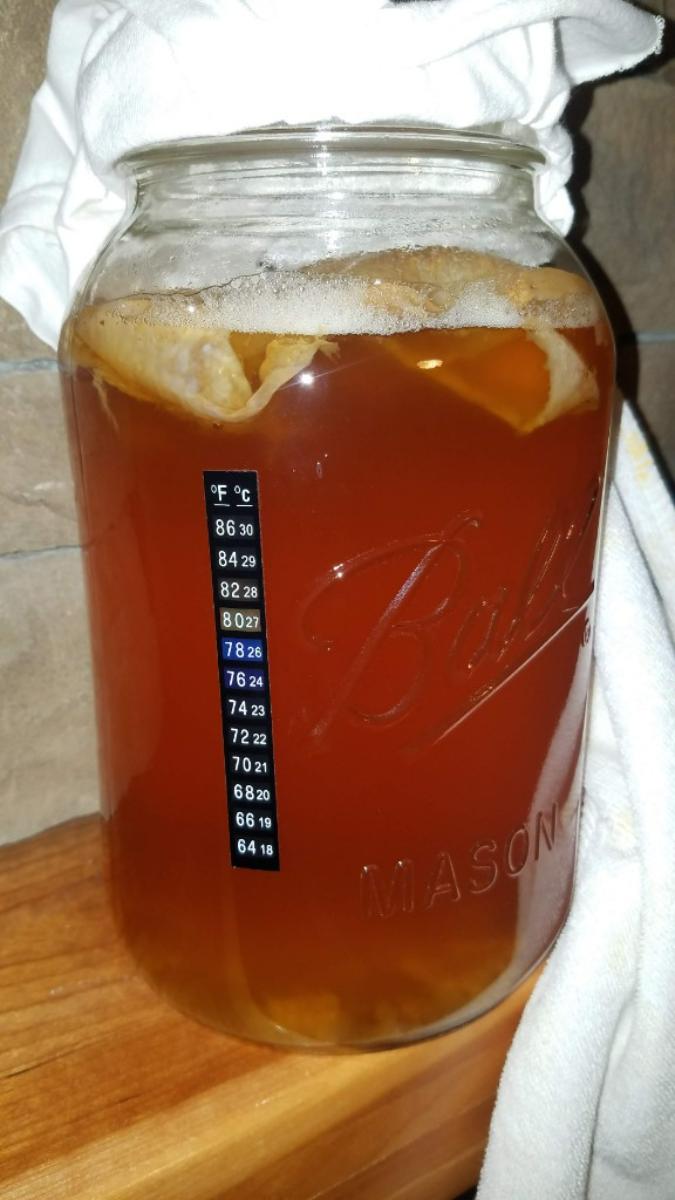 13-kombucha-temperature-strip
