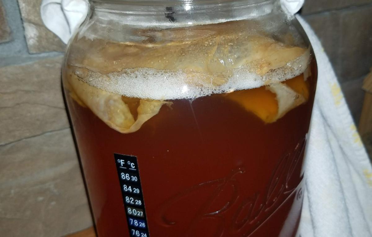 22-kombucha-day-3-fizz