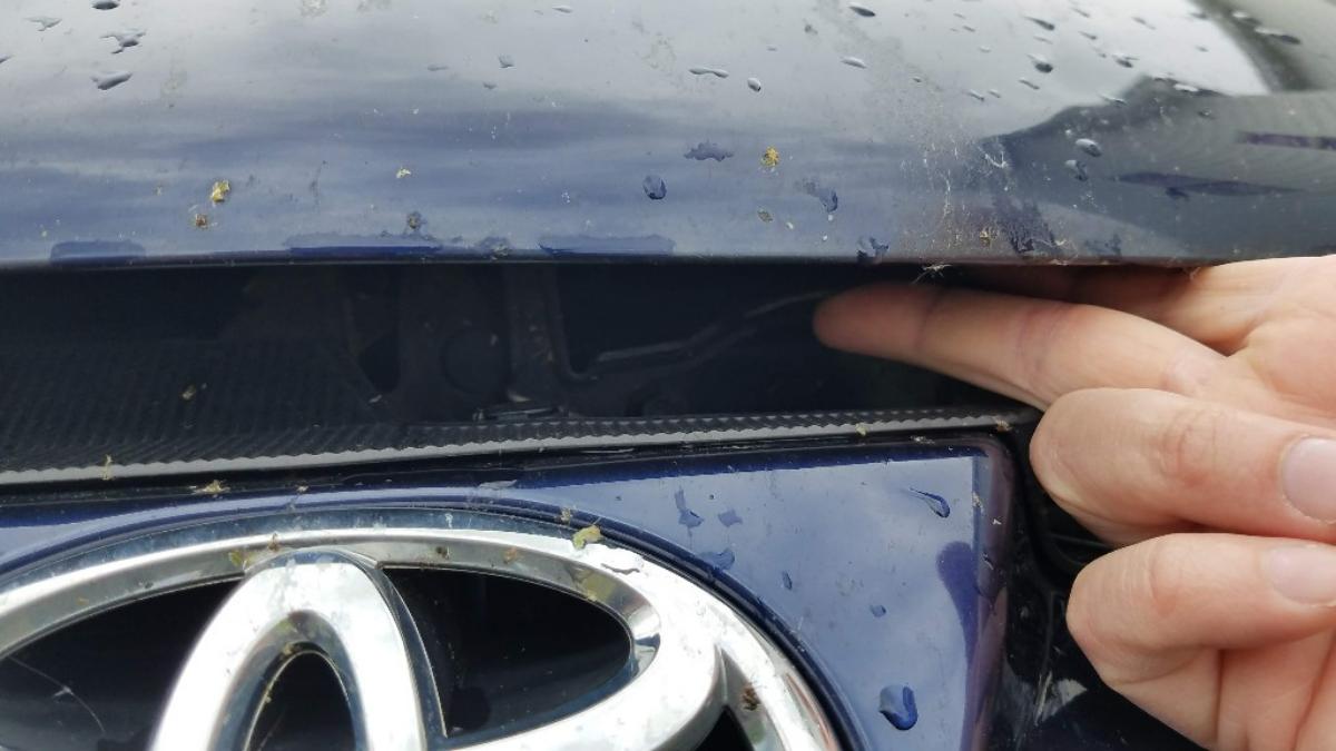 02-hood-release-sienna