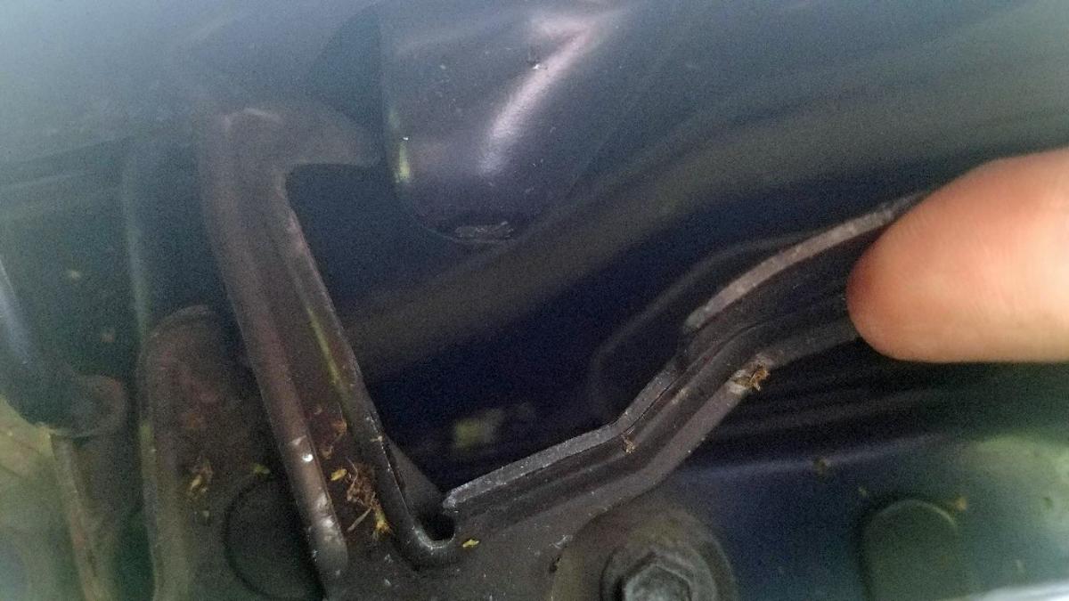 03-sienna-hood-release