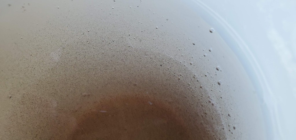 11-charcoal-in-water-normal