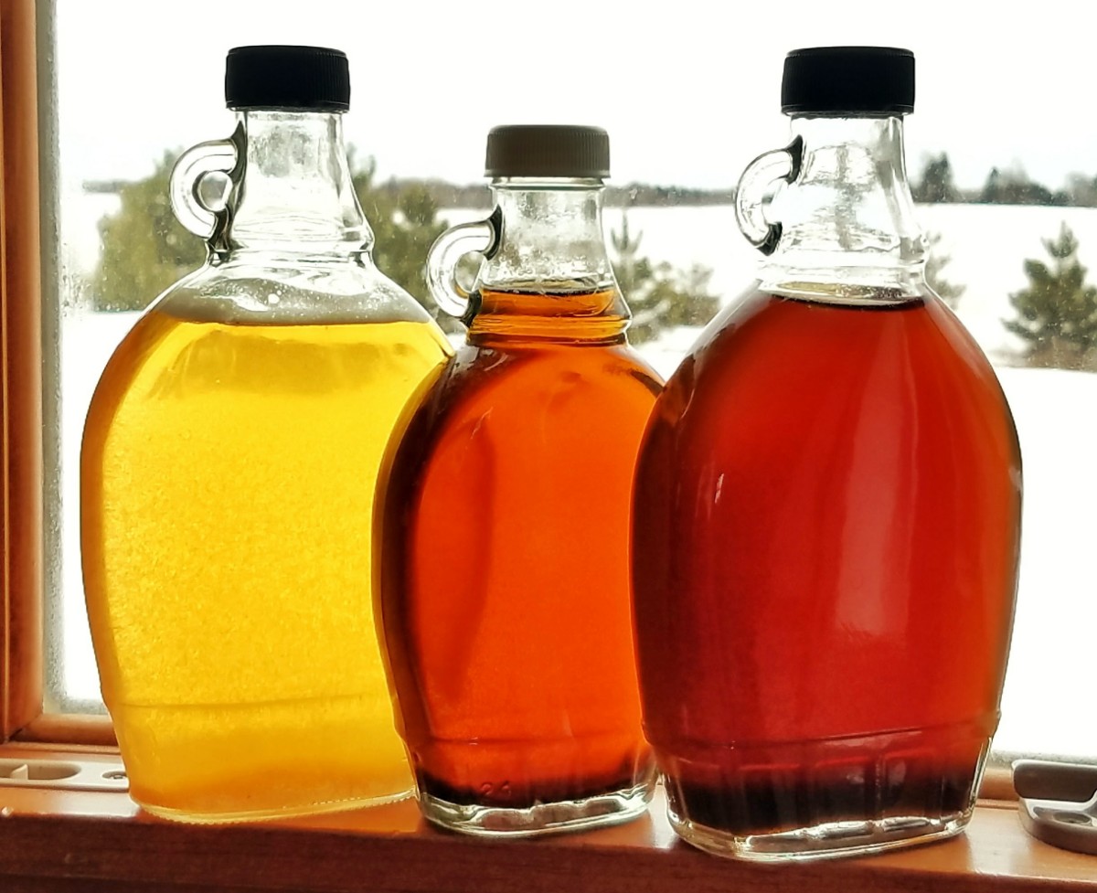 Maple Syrup Making