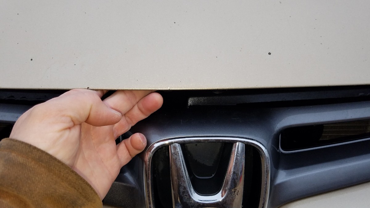 Honda Accord Logo