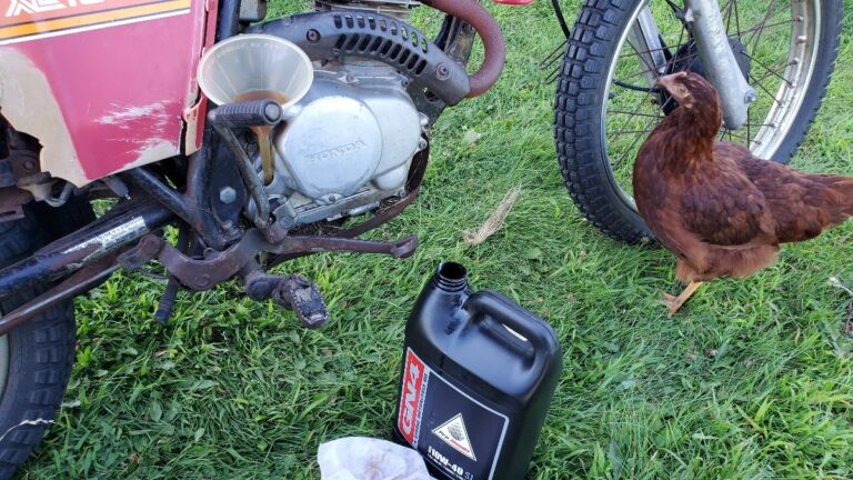 filling fresh GN Honda motor oil 10w-40