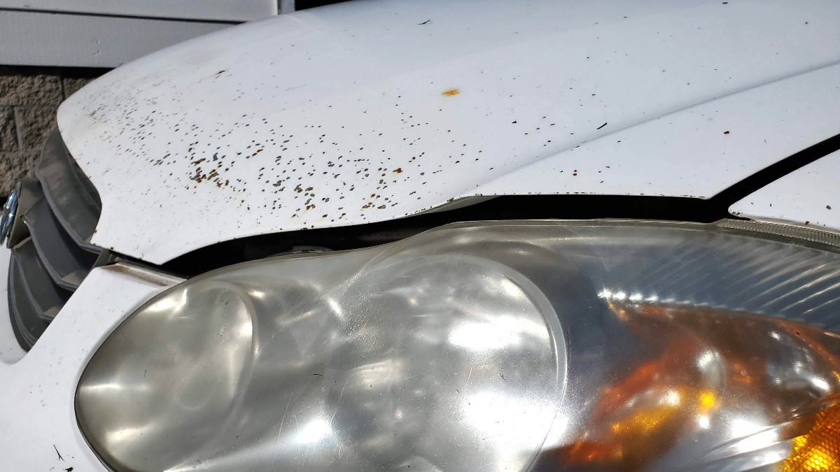 01-Toyota-Corolla-hood-wont-latch