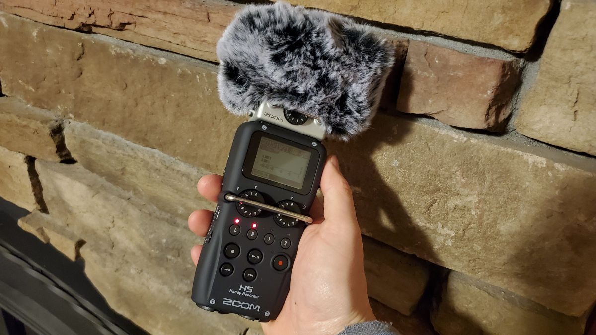 19-Zoom-H5-Recording-Deadcat