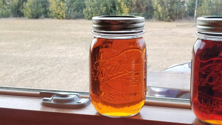 Crystal Clear Maple Syrup