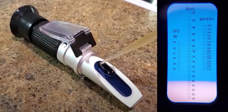 A refractometer reading the sugar content of Maple Syrup